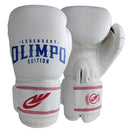 LUVA DE BOXE + CANELEIRA MUAY THAI KICKBOXING PROFISSIONAL