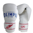 LUVA DE BOXE + CANELEIRA MUAY THAI KICKBOXING PROFISSIONAL