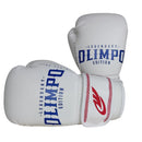 LUVA DE BOXE + CANELEIRA MUAY THAI KICKBOXING PROFISSIONAL