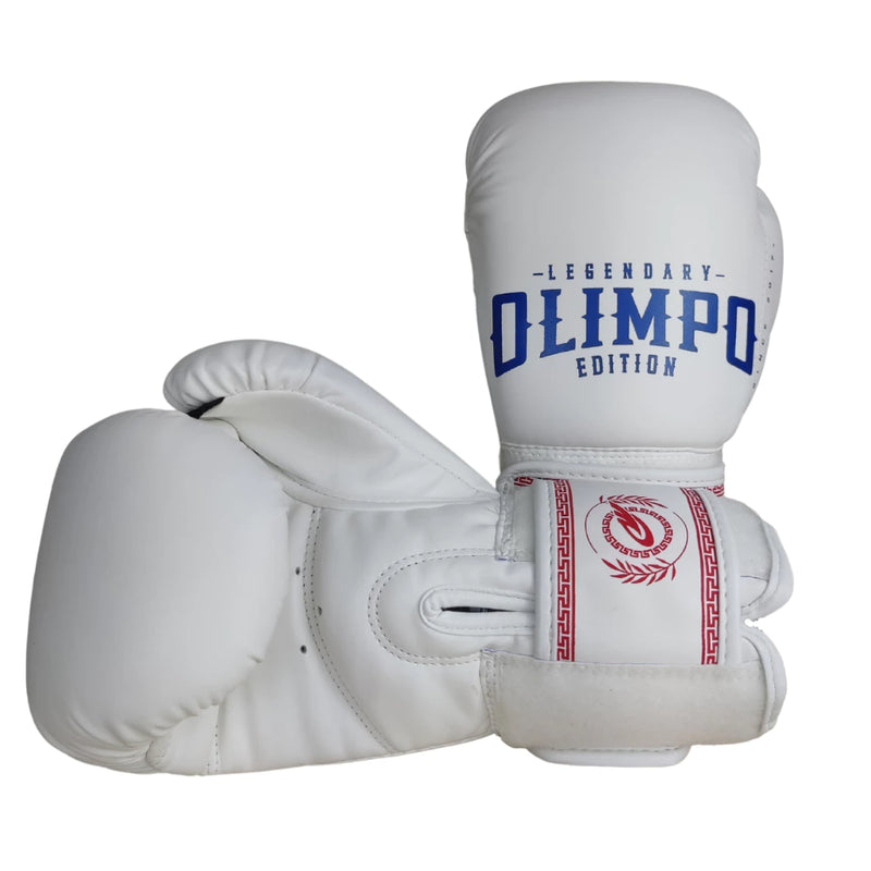 LUVA DE BOXE + CANELEIRA MUAY THAI KICKBOXING PROFISSIONAL